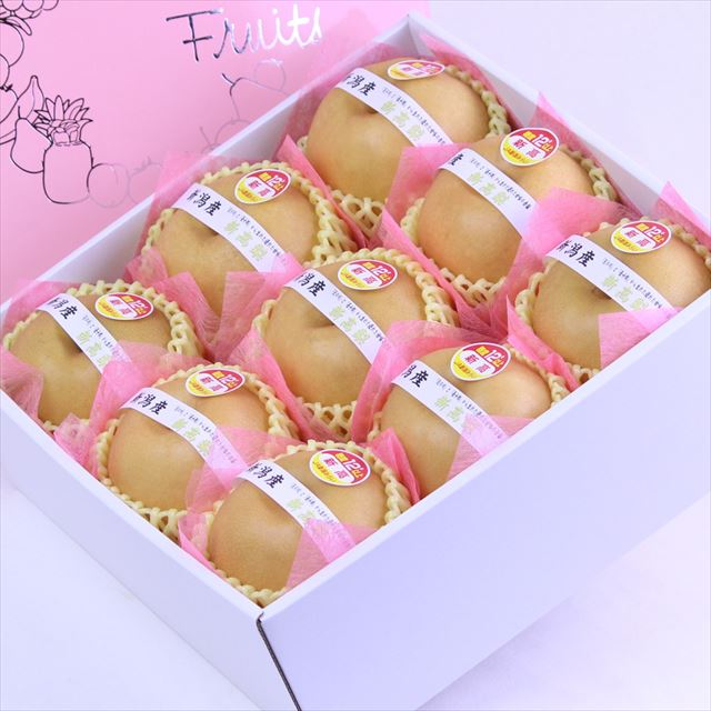 新潟産新高(にいたか)梨【秀品】9玉化粧箱入