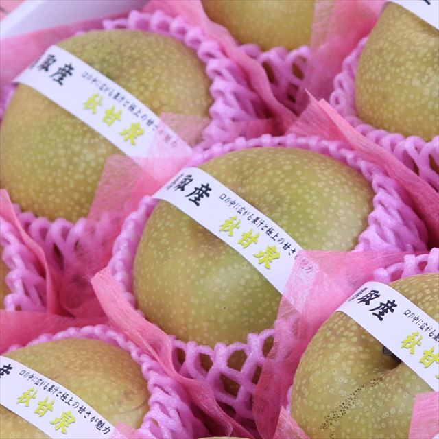 鳥取産秋甘泉(あきかんせん)【赤秀品】9玉化粧箱入