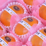 鳥取産輝太郎柿【赤秀品】9玉化粧箱入