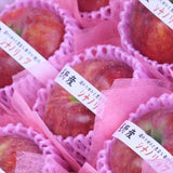 長野産シナノリップ【秀品】9玉化粧箱入