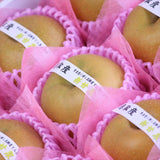 鳥取産新甘泉(しんかんせん)【赤秀品】9玉化粧箱入