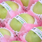 鳥取産ハウス二十世紀梨【赤秀品】9玉化粧箱入