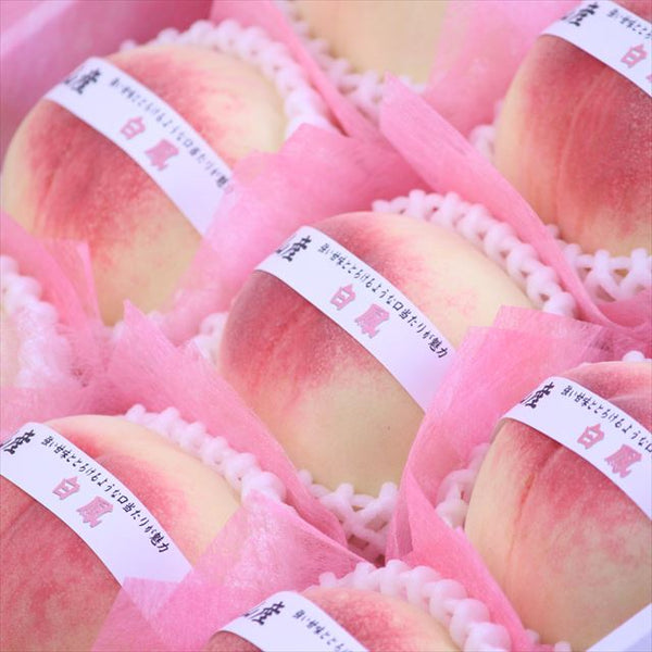 和歌山産白鳳(はくほう)【赤秀品】9玉化粧箱入