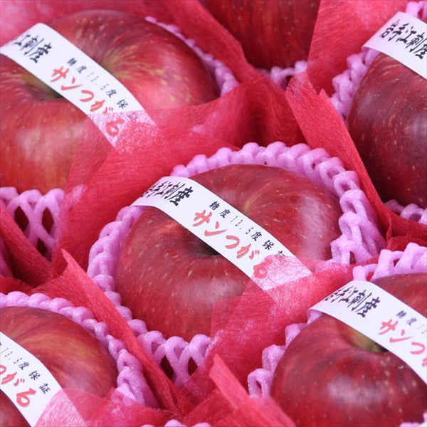 岩手江刺産サンつがる　糖度13.5度以上【秀品】9玉化粧箱入