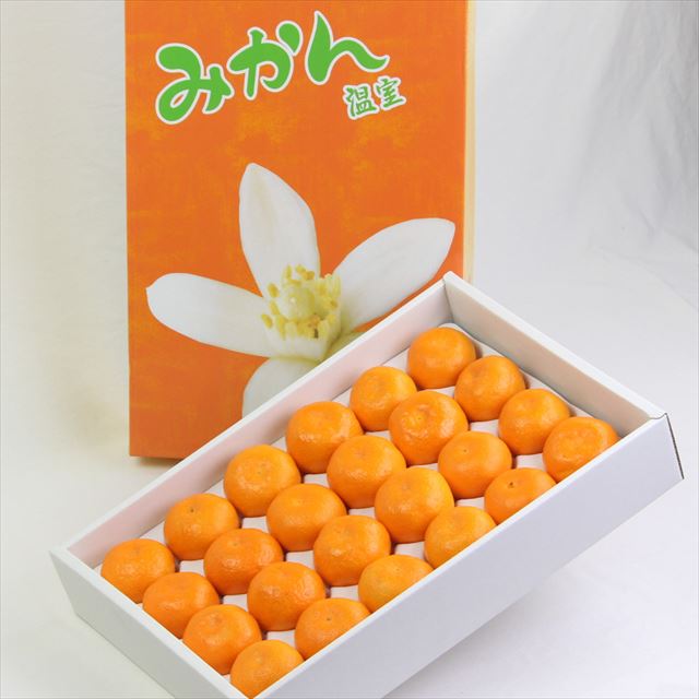 和歌山産AQ有田温室みかん【秀品】産地化粧箱入