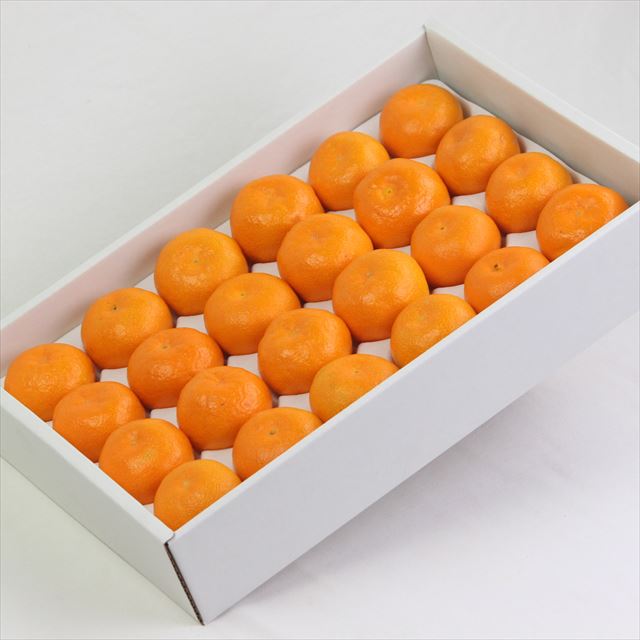 和歌山産AQ有田温室みかん【秀品】産地化粧箱入