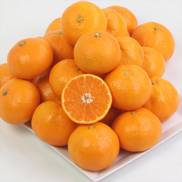 和歌山産AQ有田温室みかん【秀品】産地化粧箱入