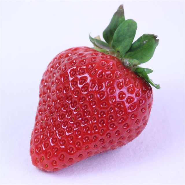 福岡産あまおう【秀品】EX(エクセレント)産地箱入