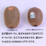 愛媛JAたいき産甘熟キーウィ「愛み(まなみ)キーウィ」10玉化粧箱入