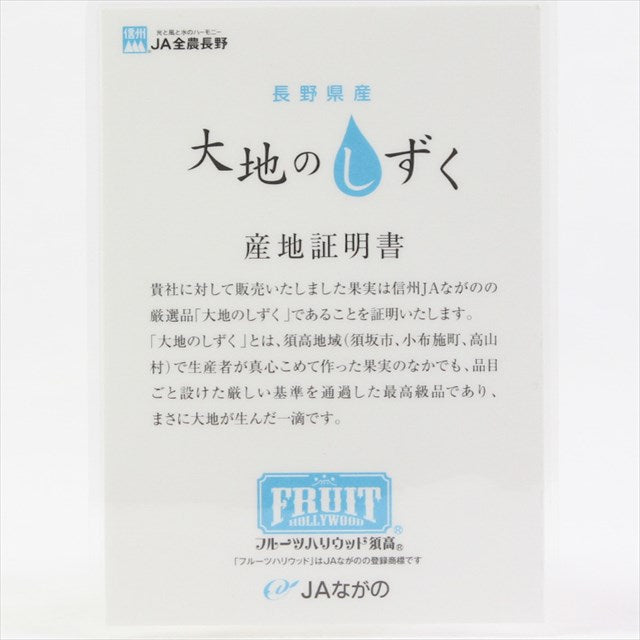 長野産ナガノパープル「大地のしずく」【特選品】化粧箱1房入