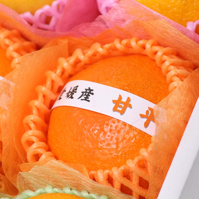 冬のおいしい柑橘セット 1月ver.　A