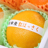 冬のおいしい柑橘セット 1月ver.　A