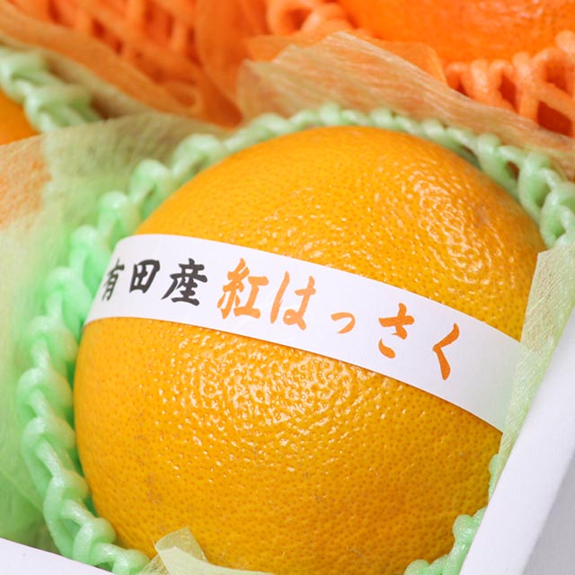 冬のおいしい柑橘セット 1月ver.　A