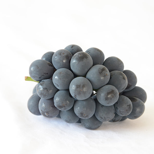 岡山産　ニューピオーネ　【秀品】500ｇ　2房化粧箱入