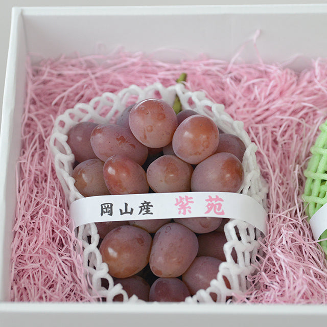 秋の味覚　旬のぶどう食べ比べセット