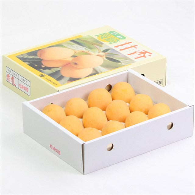 長崎産　甘香びわ(あまかびわ)　【秀品】産地化粧箱入
