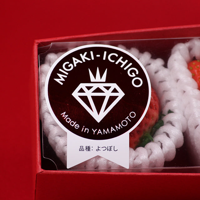 「食べる宝石」ミガキイチゴ【プラチナ】6粒化粧箱入