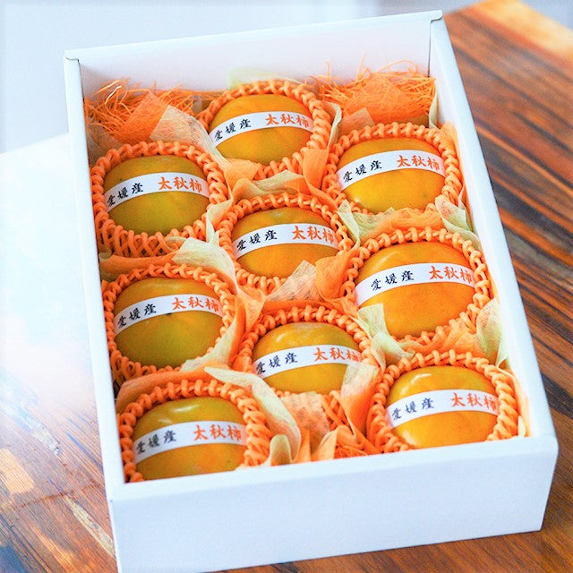 愛媛産　太秋柿(たいしゅう)　【秀品】　9玉