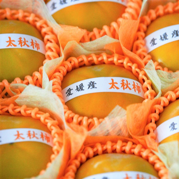 愛媛産　太秋柿(たいしゅう)　【秀品】　9玉