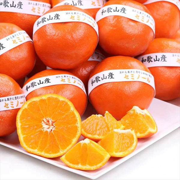 和歌山ゆら産セミノール【最上位等級5星】5㎏化粧箱入