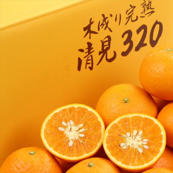 和歌山産木成り完熟 清見オレンジ320　5㎏化粧箱入