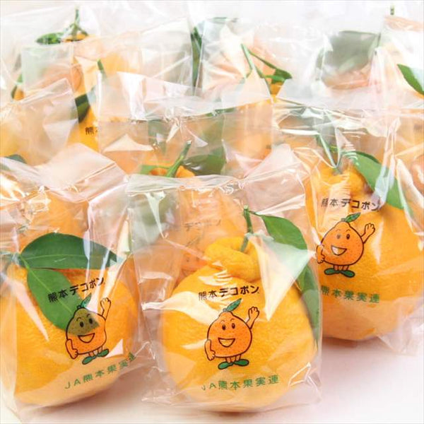熊本産デコポン「秀品」5キロ産地箱入