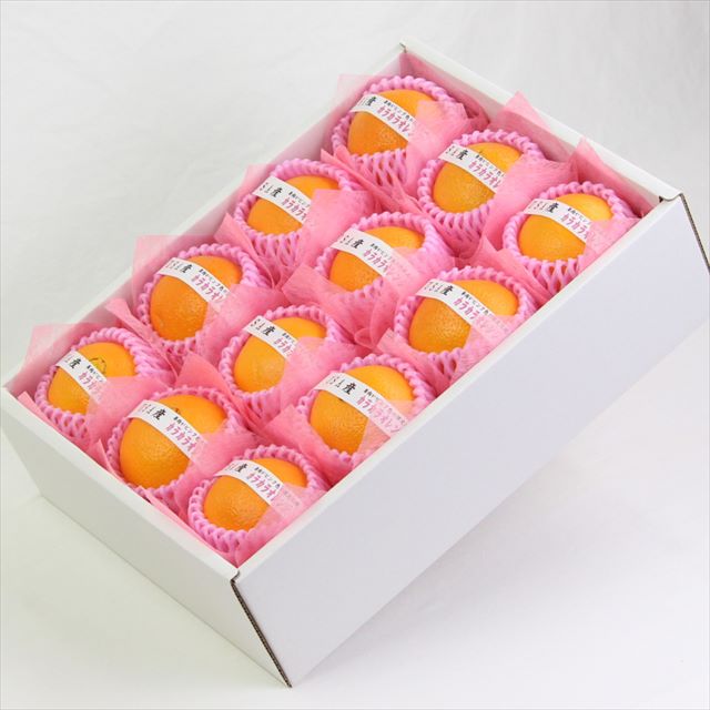 カリフォルニア産カラカラオレンジ12玉化粧箱入