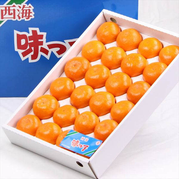 長崎産西海みかん「味っ子」高糖度13度以上【秀品】15玉～24玉入