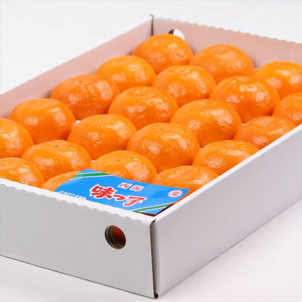 長崎産西海みかん「味っ子」高糖度13度以上【秀品】15玉～24玉入