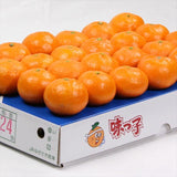長崎産西海みかん「味っ子」高糖度13度以上【秀品】15玉～24玉入