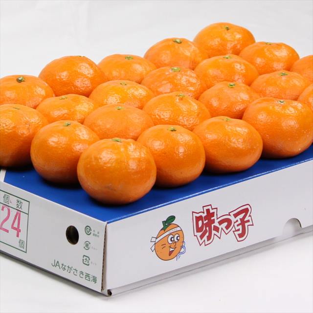 長崎産西海みかん「味っ子」高糖度13度以上【秀品】15玉～24玉入