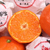 香川県オリジナル品種【越冬さぬき紅みかん】 3ｷﾛ　約40玉入