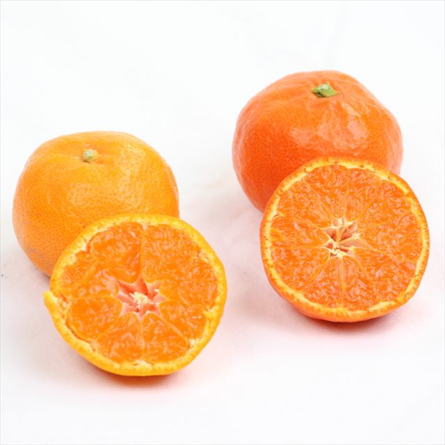 香川県オリジナル品種【越冬さぬき紅みかん】 3ｷﾛ　約40玉入