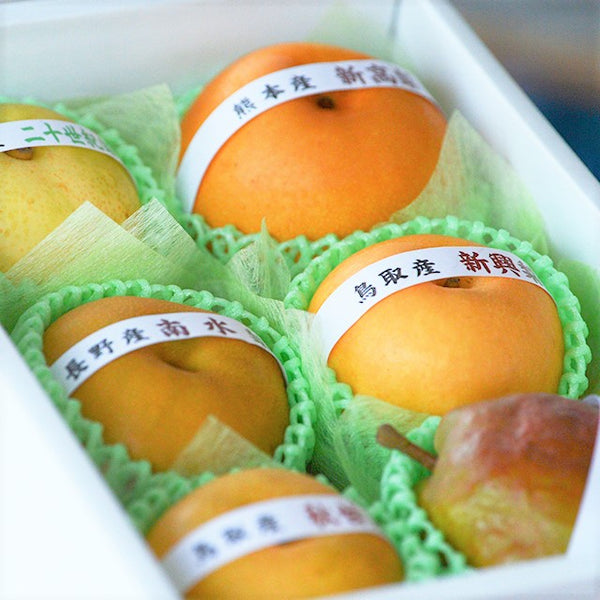 秋の味覚　旬の梨食べ比べセット