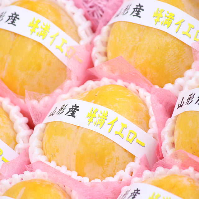 幻のゴールドプラム　山形産峰満イエロー(ほうまんイエロー)　【秀品】　化粧箱入