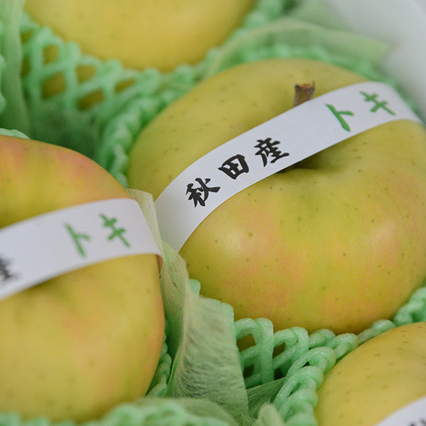 秋の味覚　青りんご(黄王又はトキ)詰合せセット　【秀品】　大玉　6玉入
