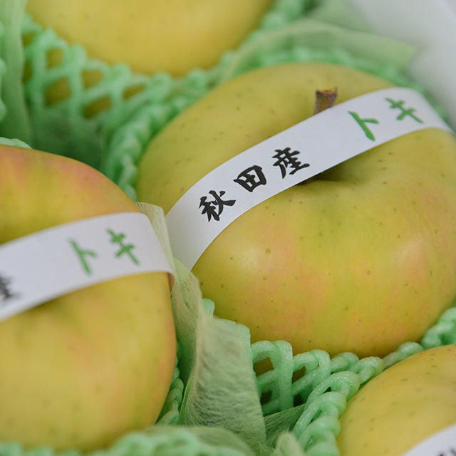 秋の味覚　青りんご(黄王又はトキ)詰合せセット　【秀品】　大玉　6玉入