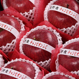 長野産　チャンピオンふじ【特秀品】12玉入